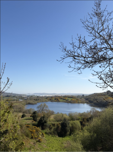 view